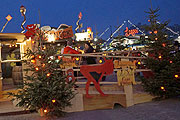 Wintertollwood (Foto: Martin Schmitz)